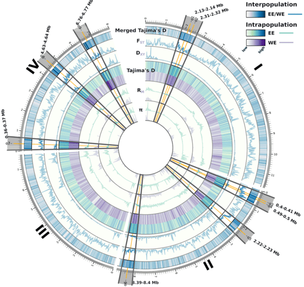 Two distinct Fusarium graminearum populations colonized European wheat in the past two decades - Image 6