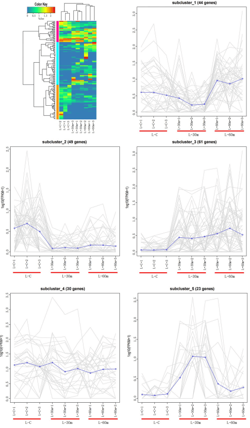 Transcriptome and metabolomics analysis of adaptive mechanism of Chinese mitten crab (Eriocheir sinensis) to aflatoxin B1 - Image 5