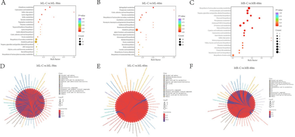 Transcriptome and metabolomics analysis of adaptive mechanism of Chinese mitten crab (Eriocheir sinensis) to aflatoxin B1 - Image 7