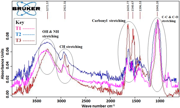 Fig 3. FT-IR spectra of the T1 (untreated maize grains; Pink line), T2 (MRS broth + A. flavus treated maize grains; Blue line), and T3 (CFS + A. flavus treated maize grains; Brown line).