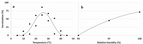 Ecology of Diaporthe eres, the causal agent of hazelnut defects - Image 10