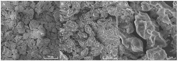 Fig 1. Structure of purified and activated bentonite at different magnifications (SEM). A) 1.00 kx, B) 5.00 kx and C) 15.0 kx.