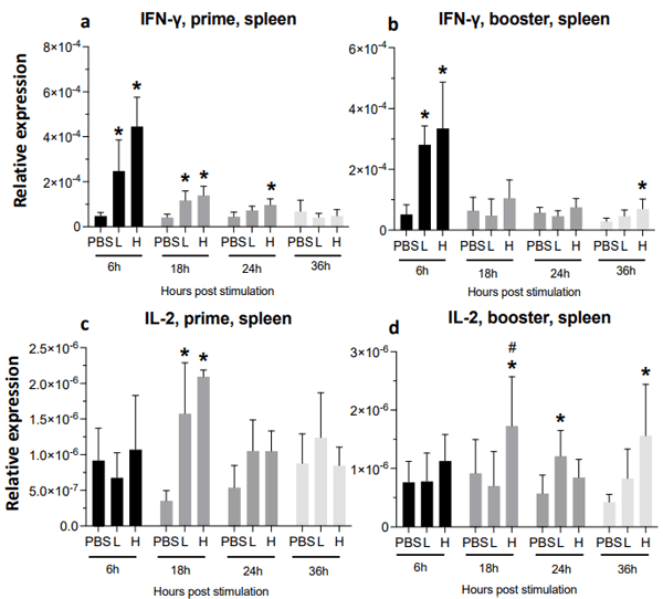 Figure 7. Relative expression of IFN-γ and IL-2 at 6-, 18-, 24-, and 36-h post-IM vaccine administration in the spleen. Graphs compare the relative expression of IFN-γ (a,b), and IL-2 (c,d) in the spleen post-IM administration of low-dose mRNA (L), high-dose mRNA (H), and PBS control. Relative expression data represent the mean fold-change of 5–6 biological replicates (chickens) compared to the PBS-treated control group (*) and low-dose group (#) ± standard error. Data were analyzed with the Kruskal–Wallis test followed by the Mann–Whitney test (p ≤ 0.05 was considered statistically significant). ß-actin was used as a reference gene for all relative expressions