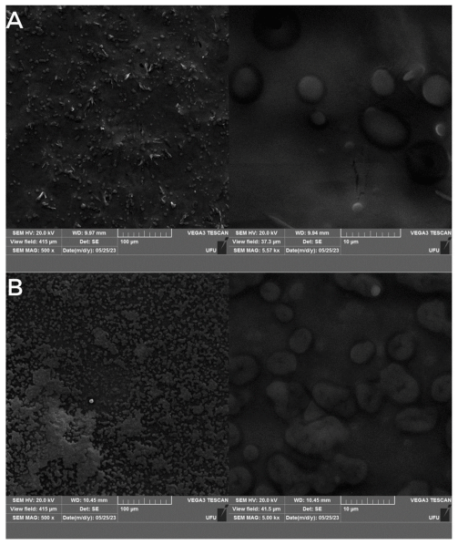 Figure 2. FE-SEM images of NLC (A) and respective NLC control (B) at 500× (left) and 5000× (right) magnifications.