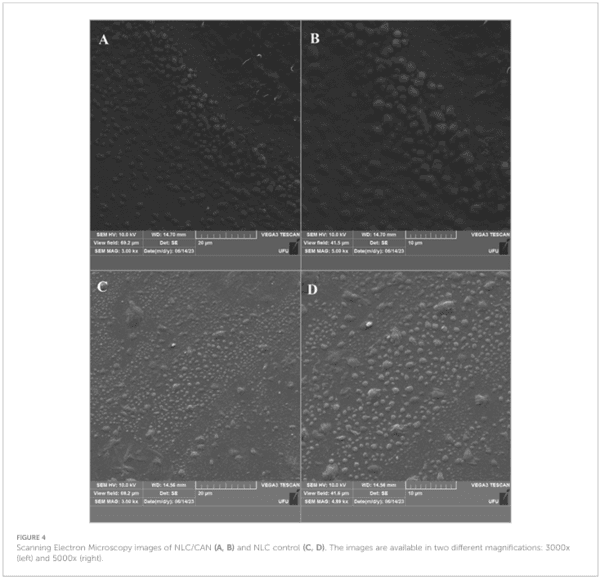 Lipid nanoparticles based on natural matrices with activity against multidrug resistant bacterial species - Image 7