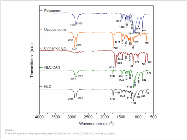 Lipid nanoparticles based on natural matrices with activity against multidrug resistant bacterial species - Image 5