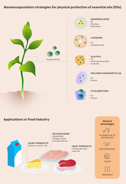 Essential Oil-Based Nanoparticles as Antimicrobial Agents in the Food Industry - Image 1