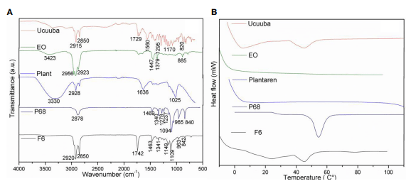 FIGURE 3 | FTIR-ATR (A) and DSC (B) analyses of NLC (F6) formulation and its excipients. Ucuuba, ucuuba butter; EO, olibanum essential oil; PLANT, Plantaren®; P68, Pluronic 188®.