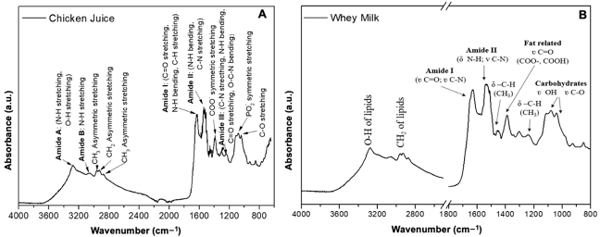 Figure 2. Comparison of FTIR spectra for chicken juice (A) and whey (B). a.u.: absorbance units. 