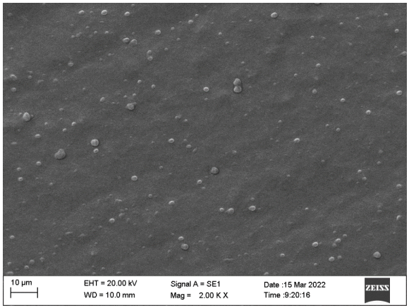 Figure 1. Scanning electron microscopy (SEM) image of the essential oil lipid nanocarrier formulation. Image taken at 20,000× magnification.