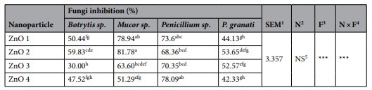 Table 2. Susceptibility testing of Botrytis sp., Penicilium sp., Mucor sp. and Pilidiella granati to Syzygium cordatum (ZnO 1), Lippia javanica (ZnO 2), Bidens pilosa (ZnO 3) and Ximenia cafra (ZnO 4) zinc oxide nanoparticles at 200 ppm. 1Standard error of mean. 2Nanoparticle. 3Fungi. 4Nanoparticle and Fungi interaction; Least square means with diferent superscripts are signifcantly diferent (P≤0.05). 5Not Signifcant. ***p≤0.001.