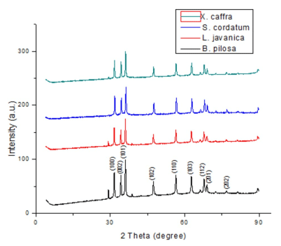 Figure 2. XRD difraction pattern for the ZnO-NPs derived from Syzygium cordatum, Lippia javanica, Bidens pilosa, and Ximenia cafra leaf extracts.