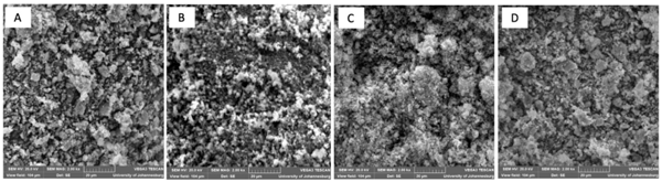 Figure 5. Scanning electron microscope micrograph of ZnO-NPs synthesized using (A) Syzygium cordatum (ZnO 1), (B) Lippia javanica (ZnO 2), (C) Bidens pilosa (ZnO 3), and (D) Ximenia cafra (ZnO 4) extracts.