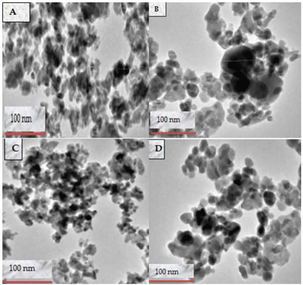Figure 6. Transmission electron microscope micrographs of ZnO-NPs synthesized using (A) Syzygium cordatum (ZnO 1), (B) Lippia javanica (ZnO 2), (C) Bidens pilosa (ZnO 3), and (D) Ximenia cafra (ZnO 4) extracts.