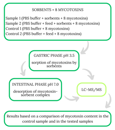 Fig. 1. Scheme of the experiment to evaluate selected sorbents’ binding effectiveness to mycotoxin animal feed contaminants PBS – phosphate-buffered saline; LC-MS/MS – liquid chromatography – tandem mass spectrometry