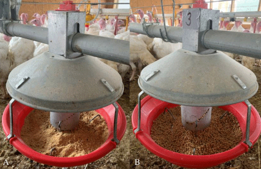 Figure 1. (A) Photo of residual feed collected for experiment 1. This feed represents what is left over in the feed pans after the birds have consumed the pellets. (B) Photo of feed sampled in experiment 2. Designated feed pans were first emptied of residual feed and then filled with fresh feed dropping in from the feed lines before collection.