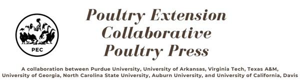 Auditing tools and animal welfare indicators for poultry - Image 1