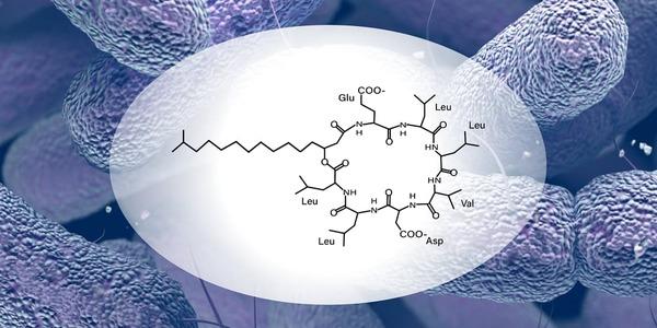 What is Surfactin? Exploring Its Mechanism of Action and Benefits - Image 1