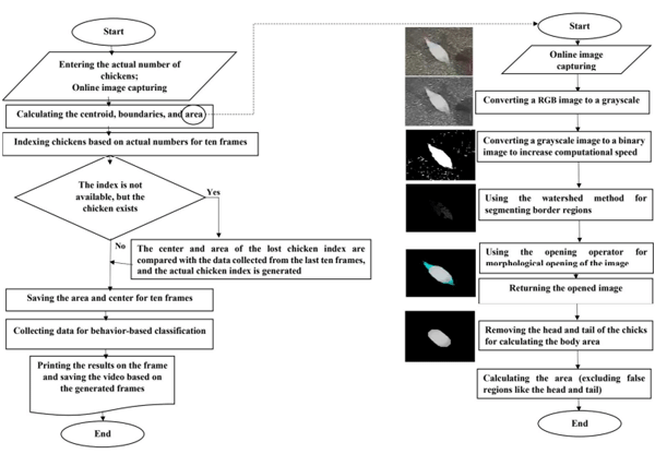 Figure 1. Flowchart of processing steps for the modified deep-learning algorithm.