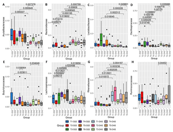 Figure 5. Differential abundance of the Acutalibacteraceae family (A), Bacteroidaceae (B), Lactobacillaceae (C), Oscillospiraceae (D), Butyricicoccaceae (E), Lachnospiraceae (F), Rikenellaceae (G) and Ruminococcaceae (H). Statistical comparison between groups was performed using the nonparametric Kruskal–Wallis and Post hoc Dunn tests. Statistical results below 0.05 were accepted as statistically significant. The treatments were: T1—Negative control (NC) (birds without challenge); T2—Positive control (PC) (birds challenged with Eimeria maxima + Clostridium perfringens); T3—PC + Antibiotic; T4—PC + β-mannanase; T5—PC + probiotic; T6—PC + β-mannanase + probiotic.