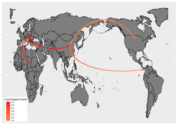 Figure 2. aMPV-B genotype migration paths. Well supported migration paths (i.e., BF > 10) among areas are depicted. The arrows indicate the directionality of the process, while the edge color is proportional to the base-10 logarithm of the Bayesian factor. The location of each area has been matched with its centroid.