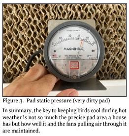 Is There a Benefit to Installing Extra Pad on a House? - Image 3