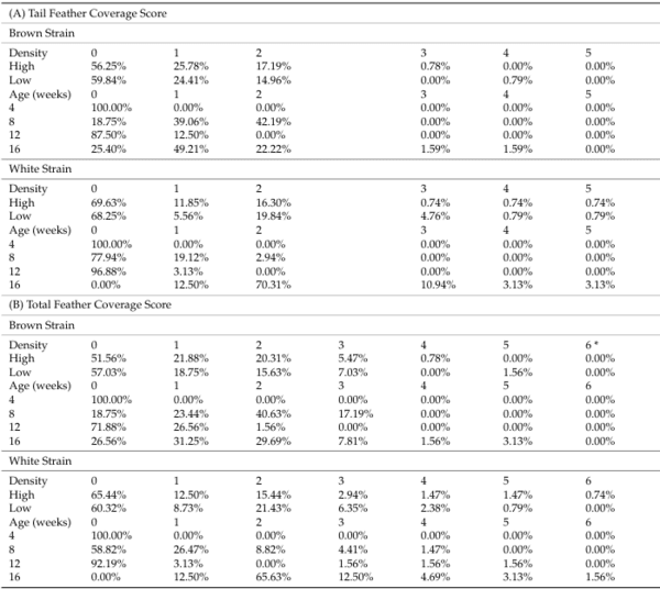 Cage-Free Pullets Minimally Affected by Stocking Density Stressors - Image 4