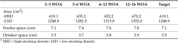 Cage-Free Pullets Minimally Affected by Stocking Density Stressors - Image 1