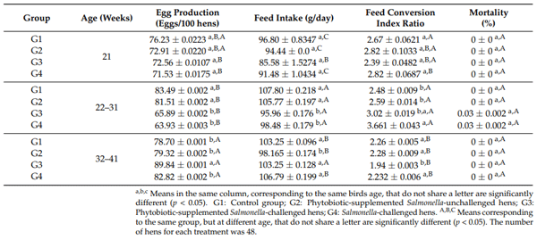 Table 1. Productive parameters of Salmonella challenged and unchallenged laying hens with or without Allium-based phytobiotic supplementation.