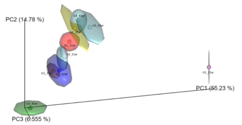 Figure 2. Beta diversity calculated for bacterial communities associated with fecal samples obtained from laying hens supplemented and unsuplemented with an Allium-based phytobiotic, and challenged or unchallenged against Salmonella Pullorum. G1: Control group; G2: Salmonella-phytobioticsupplemented unchallenged hens; G3: Salmonella-phytobiotic-supplemented challenged hens; G4: Salmonella-challenged hens. Samples were obtained from hens at 21, 31, and 41 weeks of age (21 w, 31 w, and 41 w, respectively). The number of hens for each treatment was 48