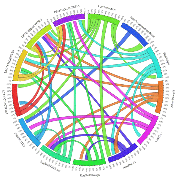 Figure 4. Schematic representation of the Pearson correlations (p > 0.05) between the relative abundance of the main phyla and the productive and egg quality variables. The number of hens for each treatment was 48 (Created with Circos Table Viewer v0.63–9).