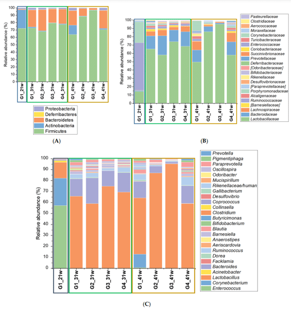 Figure 1. Bacterial communities associated with fecal samples obtained from laying hens supplemented and unsupplemented with an Allium-based phytobiotic, and challenged or unchallenged against Salmonella Pullorum. Bars represent the relative abundance at (A) Phylum, (B) Family, and (C) Genus level. G1: Control group; G2: Salmonella phytobiotic-supplemented unchallenged hens; G3: Salmonella-phytobiotic-supplemented challenged hens; G4: Salmonella-challenged hens. Samples were obtained from hens at 21, 31 and 41 weeks of age (21 w, 31 w and 41 w, respectively). The number of hens for each treatment was 48.