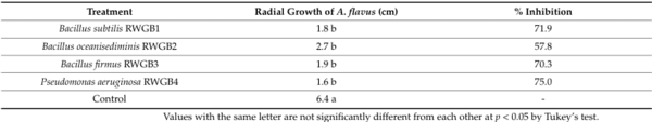 Rice Weevil (Sitophilus oryzae L.) Gut Bacteria Inhibit Growth of Aspergillus flavus and Degrade Aflatoxin B1 - Image 1