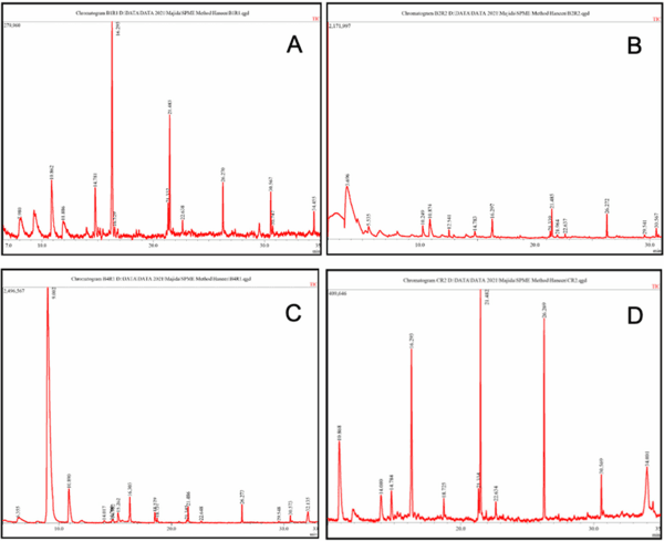 Rice Weevil (Sitophilus oryzae L.) Gut Bacteria Inhibit Growth of Aspergillus flavus and Degrade Aflatoxin B1 - Image 11