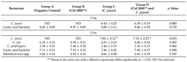 Table 2. Effect of the drinking water disinfection on the microbiota composition in crop and ceca of C. jejuni experimentally challenged broiler chicks (x ± SEM).