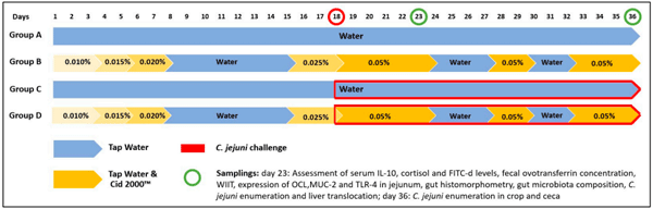 Figure 1. Experimental design and tested product dosage scheme. 