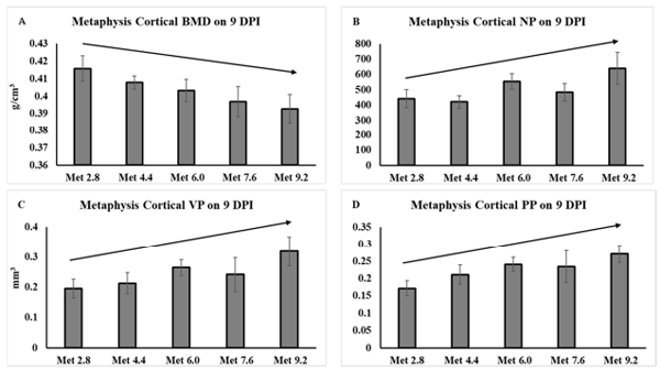 Figure 3. Femoral metaphysis cortical bone characteristics analyzed by microtomography. The error bars represent the SEM values. The black lines with arrowhead represented significant linear or quadratic relationship between parameters and dietary methionine levels. Statistical significance was set at p ≤ 0.05. DPI, day post inoculation; BMD, bone mineral density; NP, number of closed pores; VP, volume of closed pores; PP, closed pore percentage; Met, methionine; Met 2.8, dietary Met level = 2.8 g/kg; Met 4.4, dietary Met level = 4.4 g/kg; Met 6.0, dietary Met level = 6.0 g/kg; Met 7.6, dietary Met level = 7.6 g/kg; Met 9.0, dietary Met level = 9.0 g/kg. (A), p-value: p-linear = 0.020. (B), p-value: p-linear = 0.029. (C), p-value: p-linear = 0.037. (D), p-value: p-linear = 0.023.