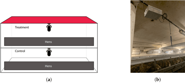 Acoustic Detection of Vaccine Reactions in Hens for Assessing Anti-Inflammatory Product Efficacy - Image 1