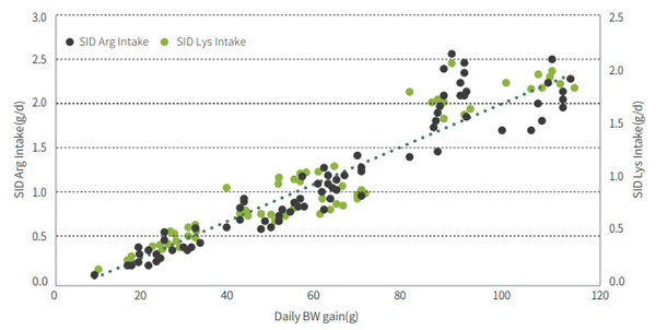 Figure 1. Effect of SID Arg and Lys intake on daily BW gain