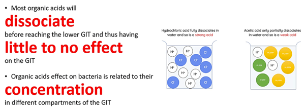 Why is Acidification needed? - Image 2