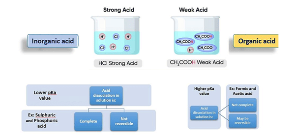 Acidifiers: A Natural Alternative to Antibiotics for Poultry Farmers