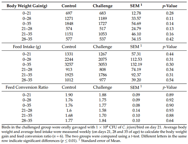 Table 2. The effect of C. jejuni challenge on bird performance.