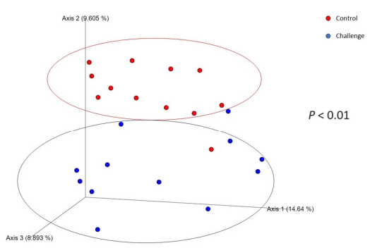 Figure 1. The effect of C. jejuni challenge on the Bray–Curtis dissimilarity index. Birds in the challenge group were orally gavaged with 1 × 108 CFU of C. jejuni/bird on day 21, and cecal samples were collected on day 28 and day 35 from control (n = 6; red) and challenged (n = 6; blue) groups. Each dot represents a replicate for each group (n = 6) on each day