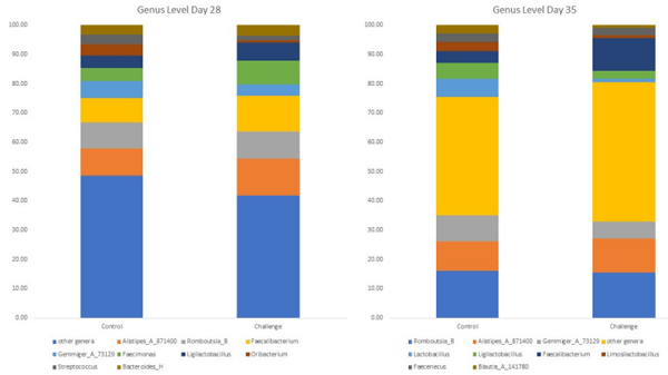 Figure 2. The effect of C. jejuni challenge on the top 10 most abundant genera on days 28 and 35. Birds in the challenge group were orally gavaged with 1 × 108 CFU of C. jejuni/bird on day 21, and cecal samples were collected on day 28 and day 35 from control (n = 6) and challenged (n = 6) birds. Following the DNA extraction from the cecal samples, all nine variable regions of the 16S rRNA gene were sequenced (regions V1 to V9). On days 28 and 35, the taxonomic classification was performed using the QIME 2 feature-classifier plugin, which uses the Naïve Bayes classifier trained on the SILVA 138 SSU database