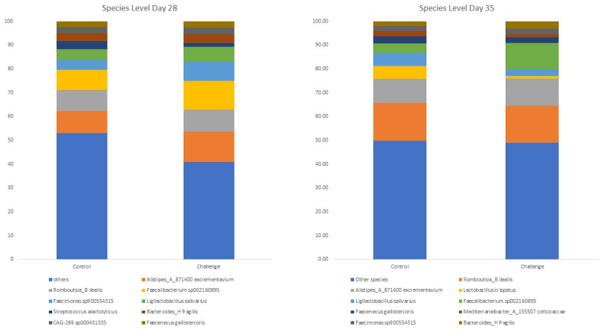 Figure 3. The effect of C. jejuni challenge on top 10 species’ relative abundance on days 28 and 35. Birds were orally gavaged with 1 × 108 CFU of C. jejuni/bird on day 21, and cecal samples were collected on day 28 and day 35 from control (n = 6) and challenged (n = 6) birds. Following the DNA extraction from the cecal samples, all nine variable regions of the 16S rRNA gene were sequenced (regions V1 to V9). On day 28 and 35, the taxonomic classification was performed using the QIME 2 feature-classifier plugin, which uses the Naïve Bayes classifier trained on the SILVA 138 SSU database.