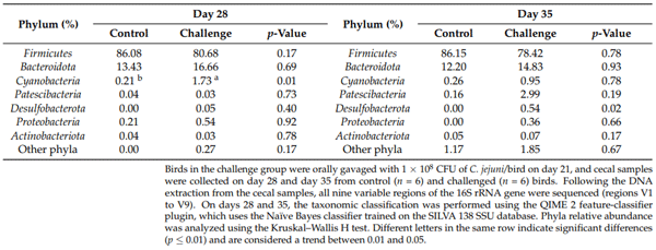 Table 4. Effect of C. jejuni on the phyla relative abundance.