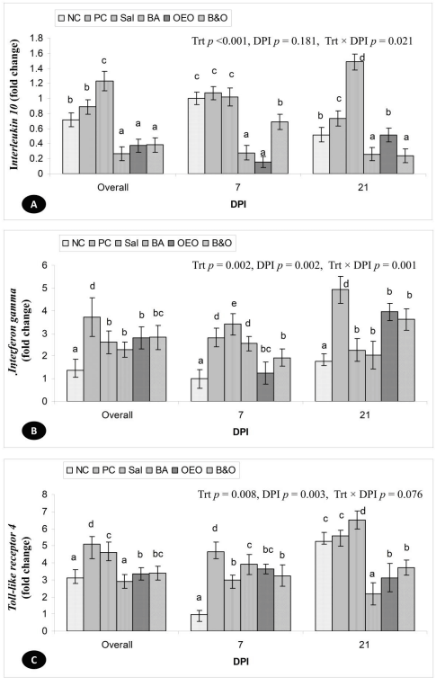 Figure 2. Relative expression (fold change) of (A) interleukin 10, (B) interferon gamma, and (C) Toll-like receptor 4 genes in the jejunum of broiler chickens supplemented with different anticoccidial agents and challenged with coccidia. NC = negative control chickens, PC = positive control chickens, coccidia-challenged and non-treated, Sal = coccidia-challenged chickens + salinomycin at 60 mg/kg of feed, BA = coccidia-challenged chickens + benzoic acid at 500 mg/kg of feed, OEO = coccidia-challenged + oregano essential oil at 500 mg/kg of feed, B&O = coccidia-challenged + benzoic acid at 500 mg/kg of feed + oregano essential oil at 500 mg/kg of feed, DPI = days postinfection. a,b,c,d,e Means with different letters for each column bar differ significantly (p < 0.05) among the treatments (Fisher’s protected least significant difference test).