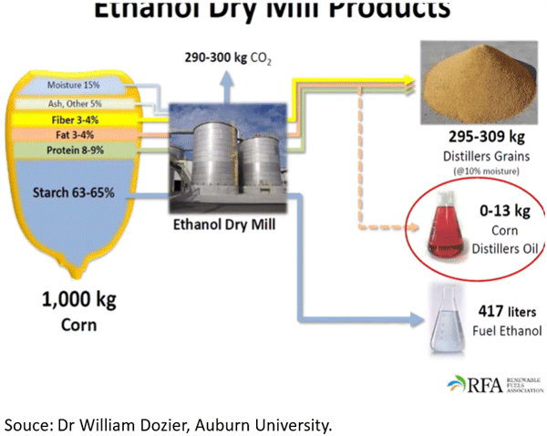 Three Alternative Ingredients of Economic Importance for Dominican Livestock - Image 2