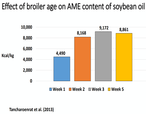 Three Alternative Ingredients of Economic Importance for Dominican Livestock - Image 7