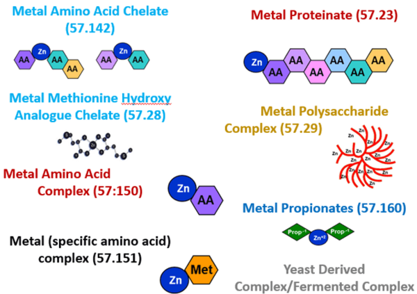 An Overview of Various Types of Organic Trace Minerals in Poultry Nutrition - Image 2